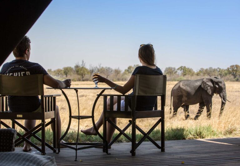 Tarangire Safari Tours in 2025: Wildlife, Landscapes & Unique Lodges