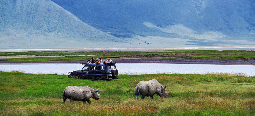 3days2night-safari