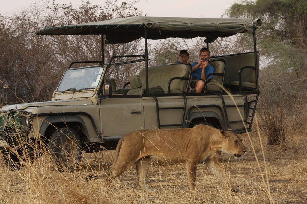 Selous National Park