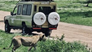 3 Days Tanzania Safari