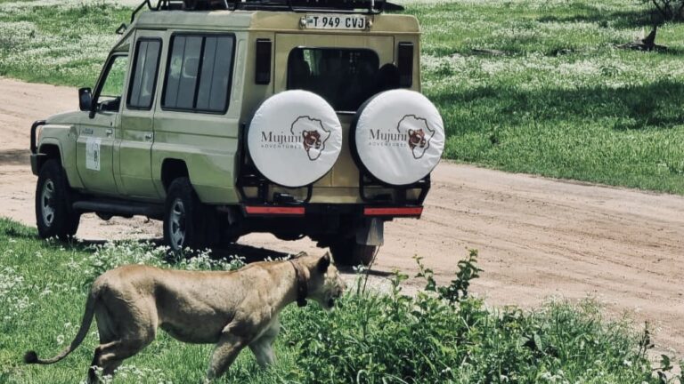 3 Days Tanzania Safari