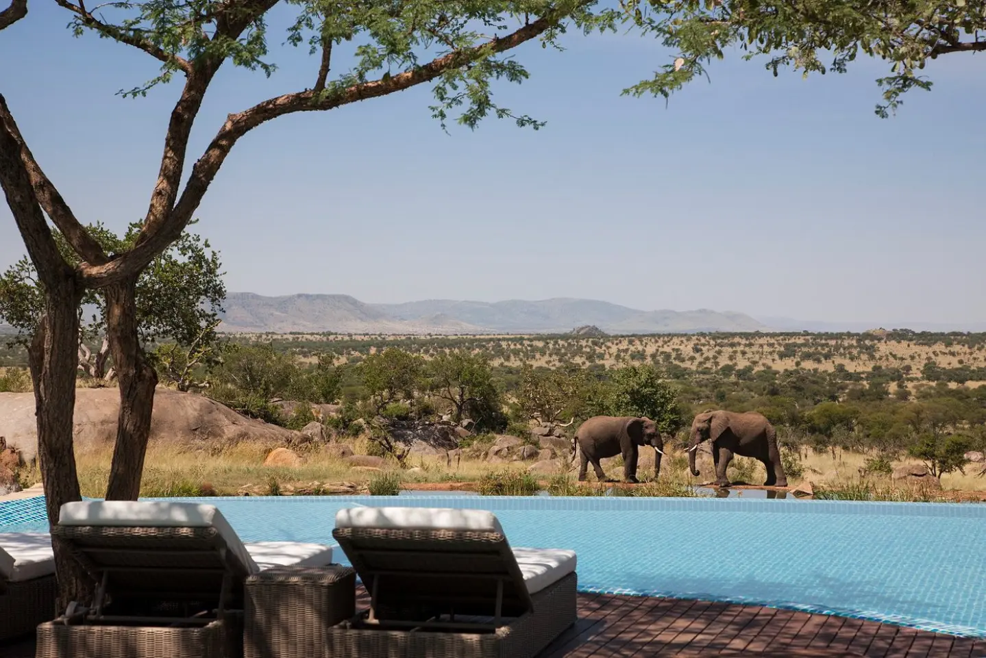 How to Plan the Perfect Tanzania Safari Tour How to Plan the Perfect Tanzania Safari Tour