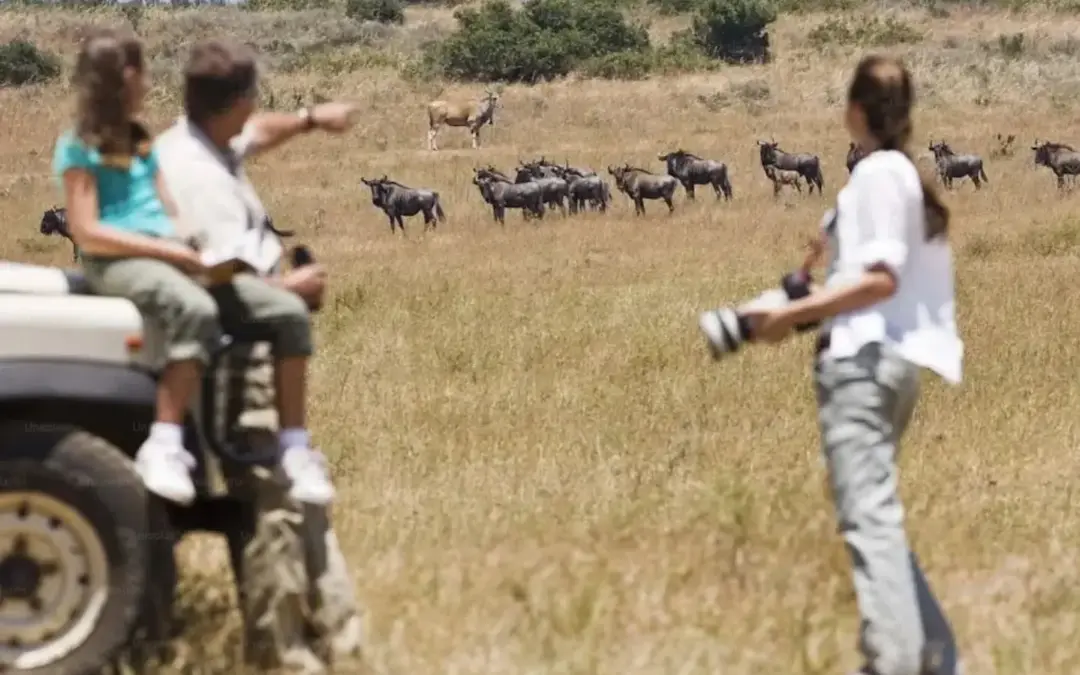 Th Serengeti Migration 2026.